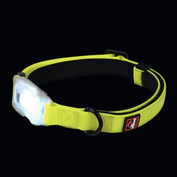 Dogs Creek Leuchthalsband Polar Light M