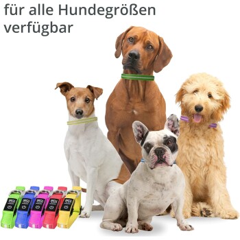 Petsation Leuchthalsband Hundehalsband blau M