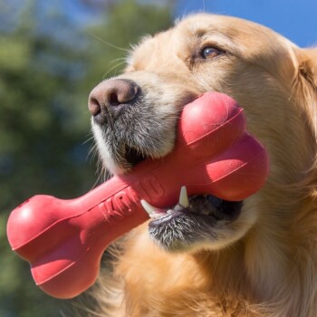 KONG Goodie Bone Classic
