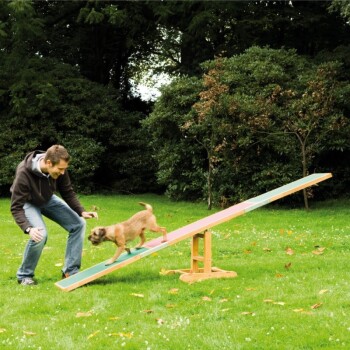 Trixie Agility Wippe