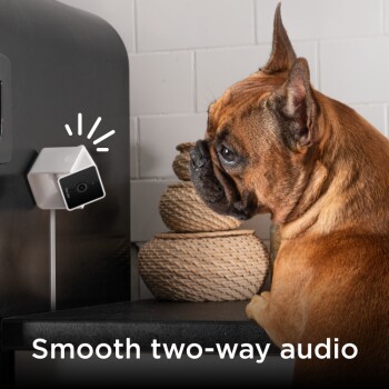 PetCube PET CAM Haustier Überwachungskamera