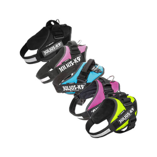 Julius-K9 IDC Powergeschirr - XXL - Aqua