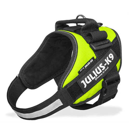 Julius-K9 IDC Powergeschirr - XXL - Aqua