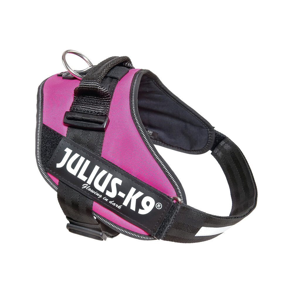 Julius-K9 IDC Powergeschirr - XXL - Aqua