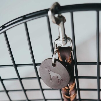 Hunter Führleine Solid Education dunkelbraun 1,6 cm, 1 m