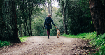 Darum ist Gassi gehen für einen Hund so wichtig